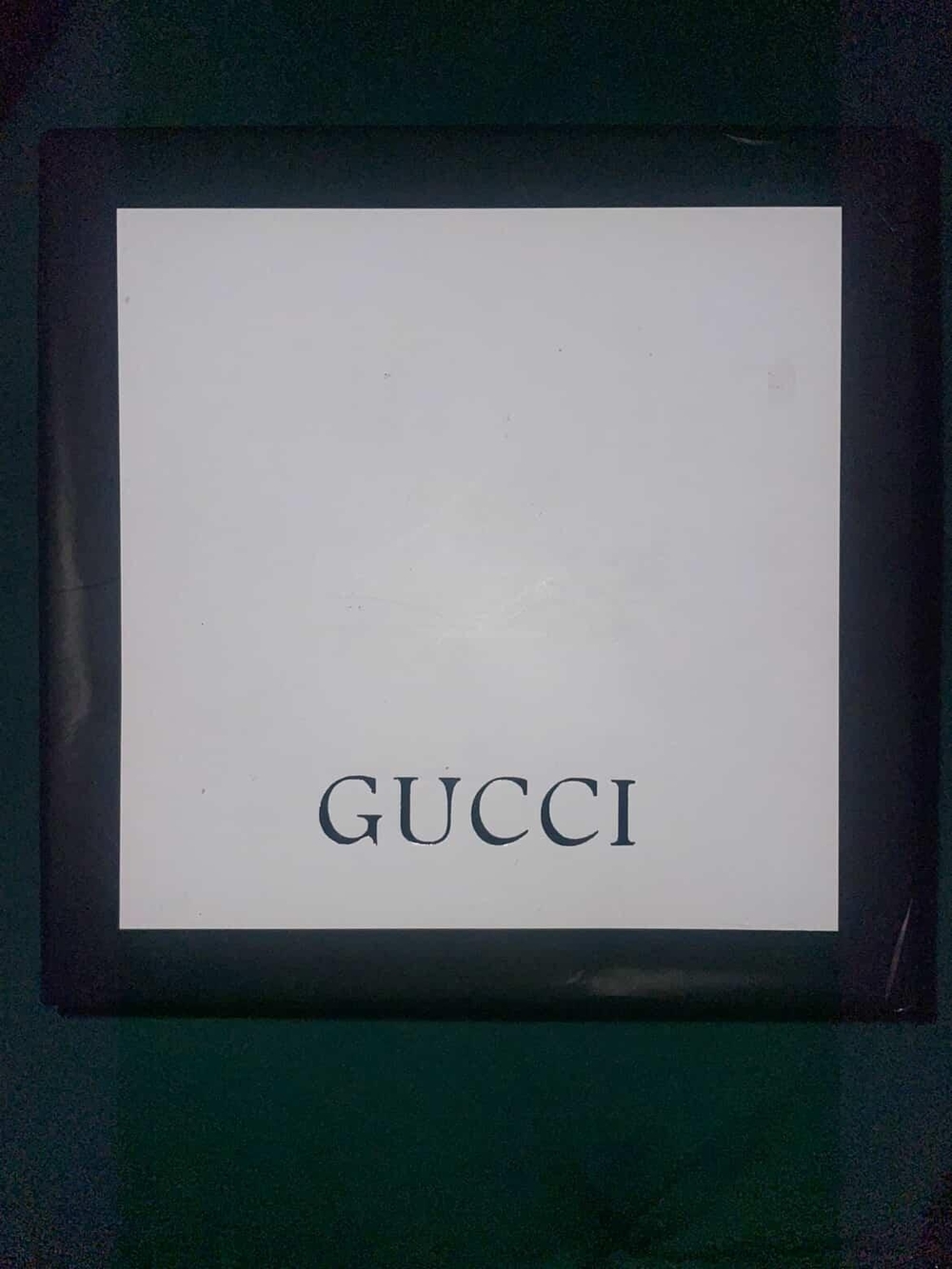 Gucci White Panel with Black Logo Accent